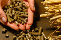 free Poundgreen biomass boiler quotes